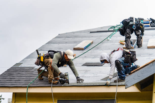 Professional Storm Damage Roof Repair technician working in Knightstown, IN